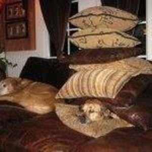 Meet your Posher, Janet